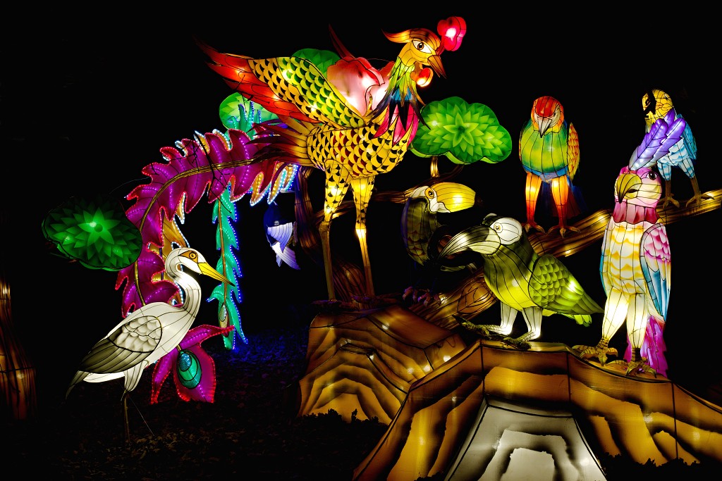 china light licht festival lichtshow show festiviteit glow evenement event chinees chinese verlichting draak dragon lichtfestival zoo